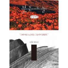 붉은 그늘(큰글자책)