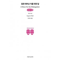 잘못 태어난 자를 위한 달(큰글자책)