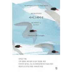 마이그레이션