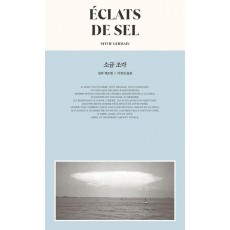소금 조각