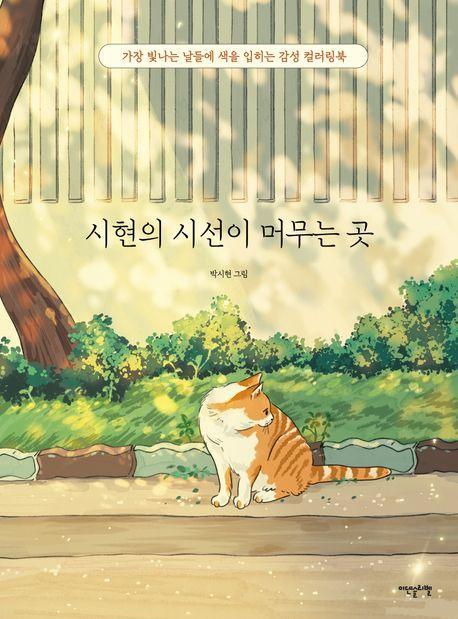 시현의 시선이 머무는 곳