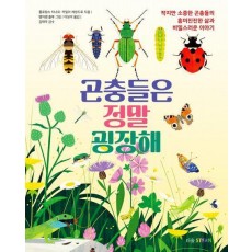 곤충들은 정말 굉장해
