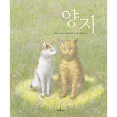 양지