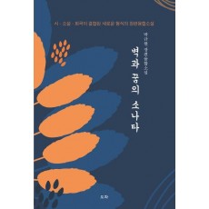 벽과 꿈의 소나타
