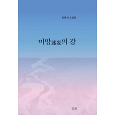 미망의 강