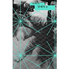 열대의 눈