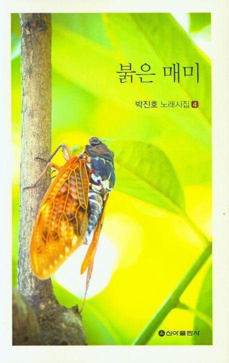 붉은 매미