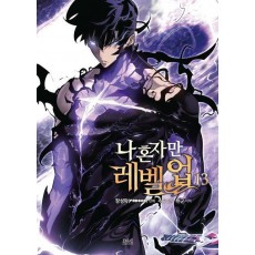 나 혼자만 레벨업 13(만화)